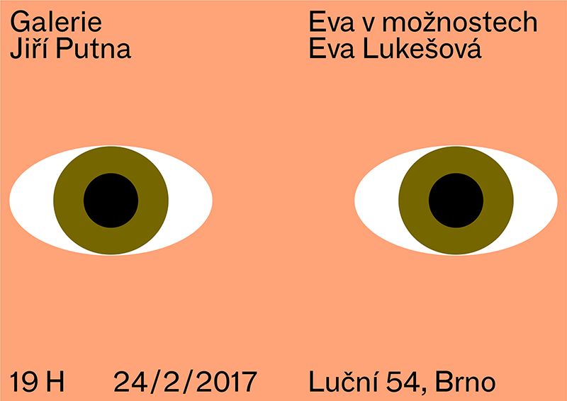 Eva Luke�ov� - Eva v�mo�nostech